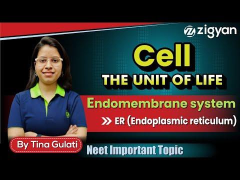 Endomembrane system | Endoplasmic reticulum | Cell - The unit of life | NEET |